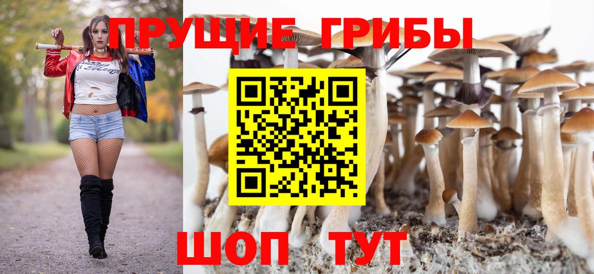 Галлюциногенные грибы Psilocybe Ангарск
